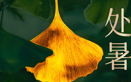 影像质控/报告质控迈德卫医疗影像云-处暑：暑去秋来，人间忽晚有清欢